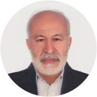 محمدحسین ذوالفقاری